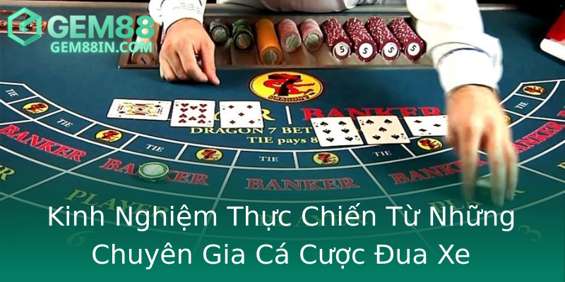 Kinh Nghiệm Thực Chiến Từ Những Chuyên Gia Cá Cược Đua Xe Kinh Nghiệm Thực Chiến Từ Những Chuyên Gia Cá Cược Đua Xe
