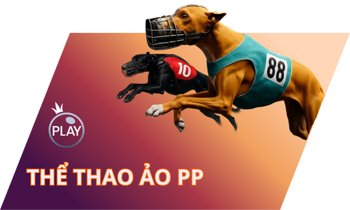 Khám Phá Gem88 – Nhà Cái Đổi Thưởng Đáng Tin Cậy Nhất Hiện Nay 18 The Thao Ao Pp